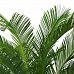 Palm Cycas UV-resistant Artificial Tree Plant