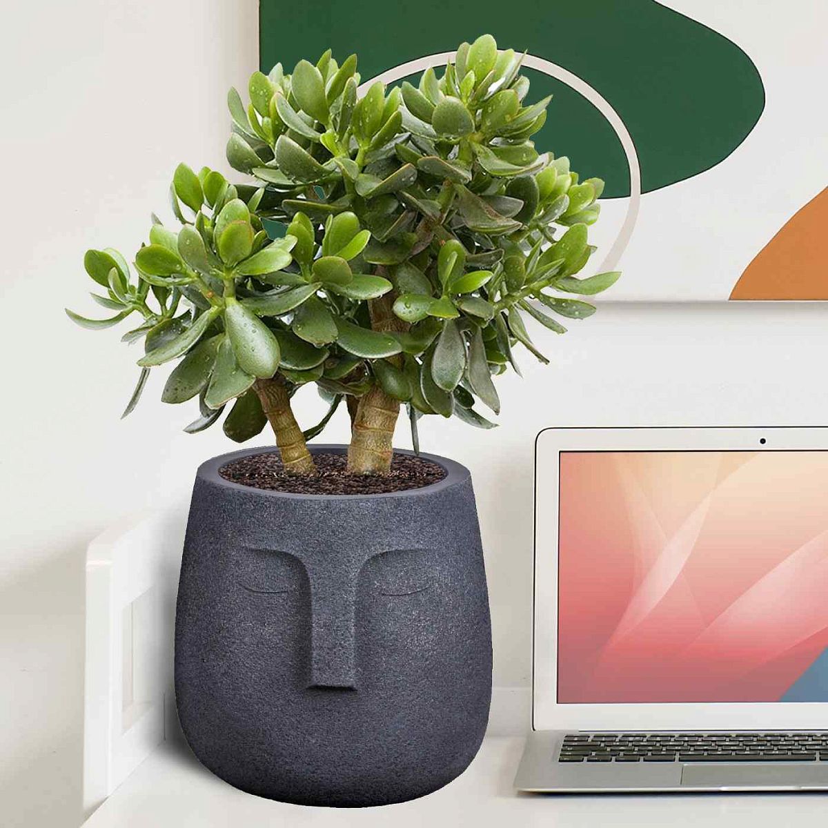 IDEALIST Lite Textured Concrete Effect Oval Indoor Face Pot