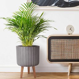 IDEALIST Lite Modern Ribbed Cylinder Planter on Legs, Round Pot Plant Stand Indoor