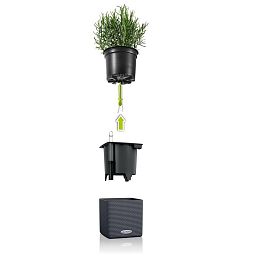 LECHUZA CUBE Color Square Poly Resin Indoor Self-watering Planter Set