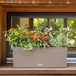 LECHUZA BALCONERA Cottage Trough Poly Resin Self-watering Planter