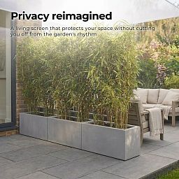 IDEALIST Lite Contemporary Light Concrete High Trough Planter