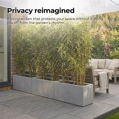 IDEALIST Lite Contemporary Light Concrete High Trough Planter