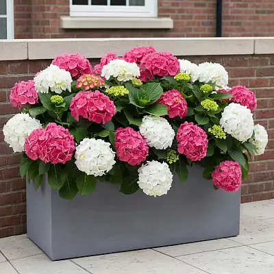 IDEALIST Lite Contemporary Light Concrete High Trough Planter