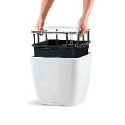 LECHUZA Quadro LS Square Poly Resin Self-watering Planter