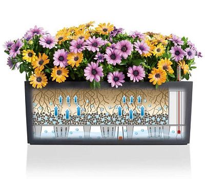 LECHUZA BALCONERA Cottage Trough Poly Resin Self-watering Planter Set