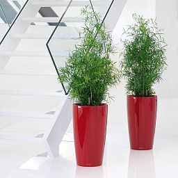 LECHUZA Rondo Round Tall Poly Resin Self-watering Planter