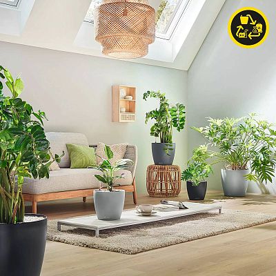 LECHUZA CLASSICO Color ECO Round PCR Plastic Self-watering Planter