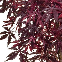 Maple Japanese Flame Retardant Artificial Tree Plant