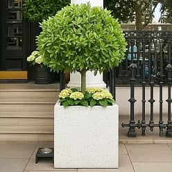 IDEALIST Lite Square Box Contemporary Marble Light Concrete Planter