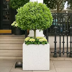 IDEALIST Lite Square Box Contemporary Marble Light Concrete Planter