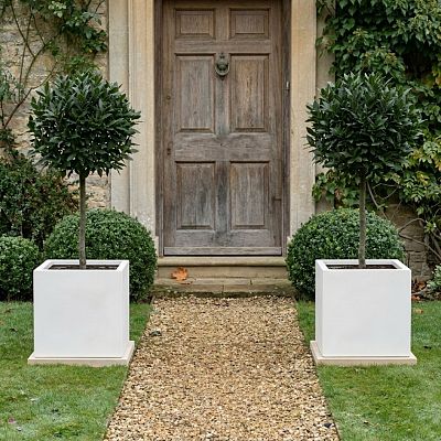 IDEALIST Lite Square Box Contemporary Light Concrete Planter