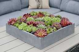 Square Fiberstone Low Planter by Idealist Premium JUMBO