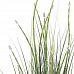 HORSETAIL Artificial Grass Plant