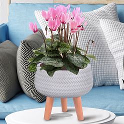 IDEALIST Lite Plaited Style Bowl Planter on Legs, Round Pot Plant Stand Indoor