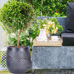 IDEALIST Lite Leaf Embossed Egg Planter