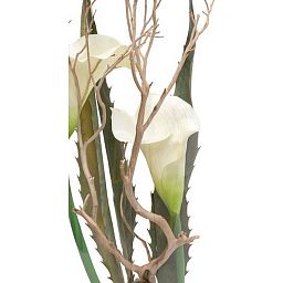 NATURAL ILLUSION Glass Vase