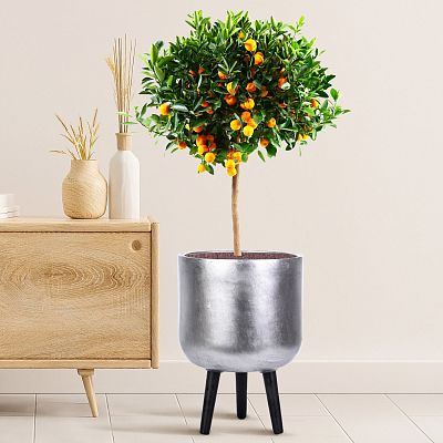 IDEALIST Lite Concrete Effect Round Planter on Legs, Round Pot Plant Stand Indoor