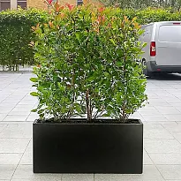 IDEALIST Lite Contemporary Trough Garden Planter, Black Light Concrete...