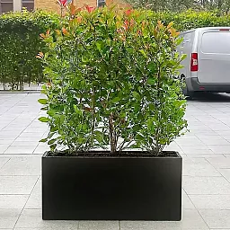IDEALIST Lite Contemporary Light Concrete Trough Planter