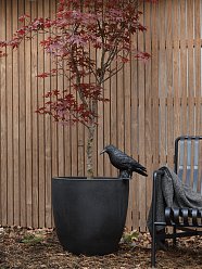 Tall Resin Planter by Cadix Capi Tutch Round