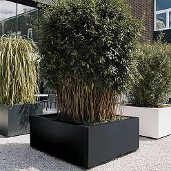 PURE Low Cube Outdoor Fiberglass Planter