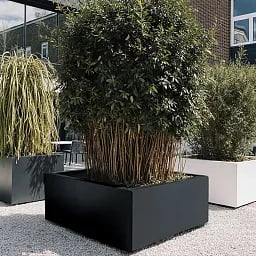 PURE Low Cube Outdoor Fiberglass Planter