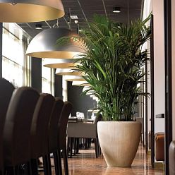 Composits Polystone Couple Round Indoor Planter Pot