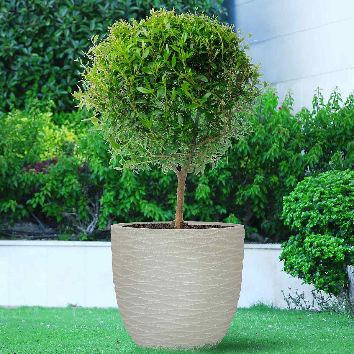 Wave Style Outdoor Egg Planter by Idealist Lite
