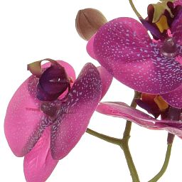 AN-Phalaenopsis Real Touch in Pot Artificial Flower Plant