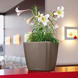 LECHUZA QUADRO Square Poly Resin Planter Only