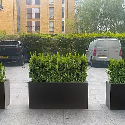 IDEALIST Lite Contemporary Light Concrete Trough Planter