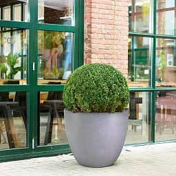 IDEALIST Lite Contemporary Light Concrete Egg Planter