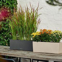 LECHUZA BALCONERA Stone Trough Poly Resin Self-watering Planter