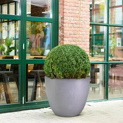 IDEALIST Lite Contemporary Light Concrete Egg Planter