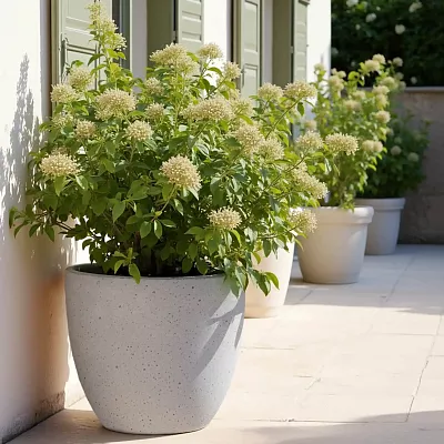 IDEALIST Lite Contemporary Light Concrete Egg Planter