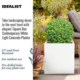 IDEALIST Lite Square Box Contemporary Light Concrete Planter