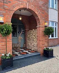 Lush Bay Tree Bay tree standard (Laurus Nobilis) Outdoor Live Plant