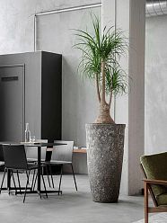 Lava Ceramic Tall Planter | Large Indoor and Outdoor Plant Pot