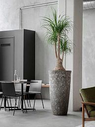 Lava Ceramic Tall Planter | Large Indoor and Outdoor Plant Pot