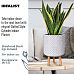 Dotted Style Cylinder Planter on Legs, Round Pot Plant Stand Indoor by Idealist Lite