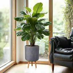 IDEALIST Lite Honeycomb Style Cylinder Planter on Legs, Round Pot Plant Stand Indoor