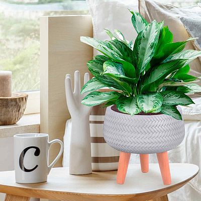 IDEALIST Lite Plaited Style Bowl Planter on Legs, Round Pot Plant Stand Indoor