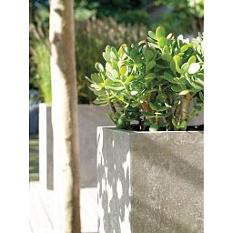 DIVISION Concrete GRC Large Trough Planter Outdoor