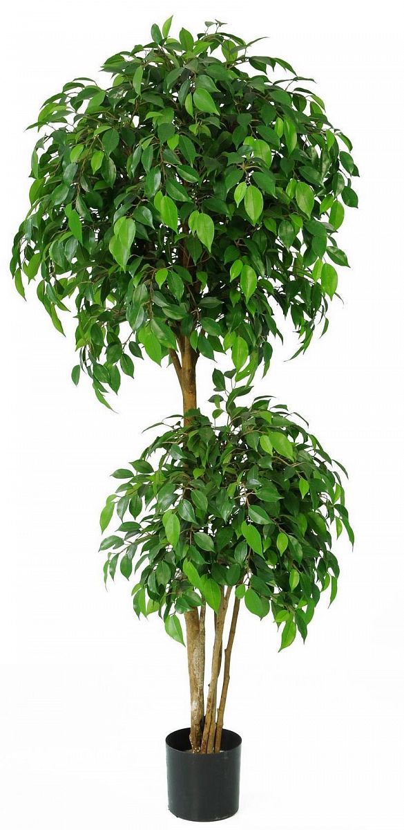 Ficus Natasha Tropical Artificial Tree Plant