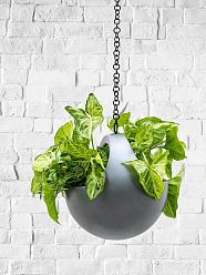 Gradient Hanging Basket Planter | Polyresin Indoor Plant Pot