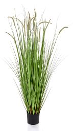 Dogtail with Pot Artificial Grass Plant