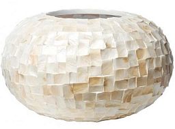 Oceana Bowl Indoor Planter