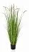 Dogtail with Pot Artificial Grass Plant