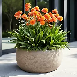 IDEALIST Lite Mesh Style Bowl Planter Outdoor Plant Pot